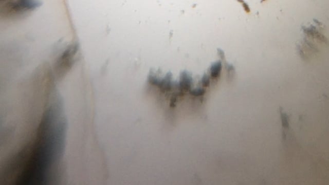 Thumbnail 27