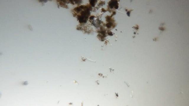 Thumbnail 26