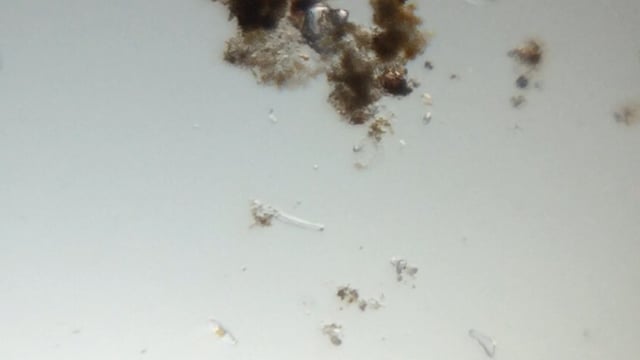 Thumbnail 23