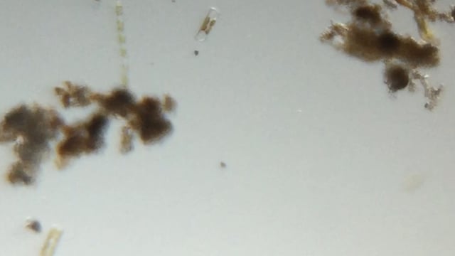 Thumbnail 22