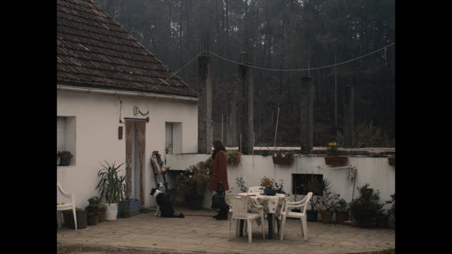 Trailer Néboa