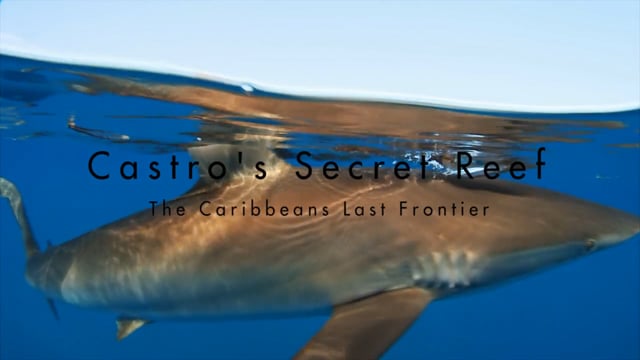 Castro's Secret Reef - The Caribbean's Last Frontier - Intro