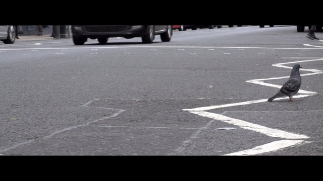 Roadliners