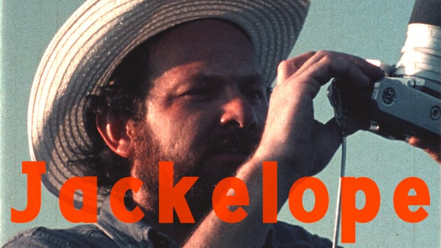 JACKELOPE