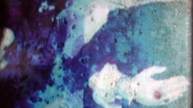 MEMORY (film by pedro maia / music by panda bear)