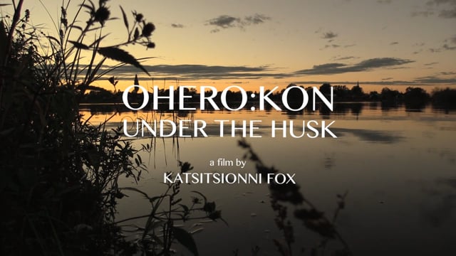Under The Husk - teaser 1