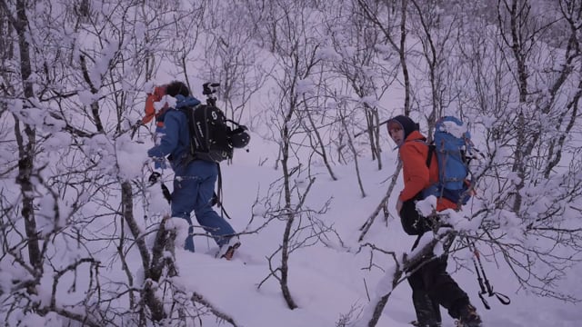 Carl Zeiss - Speed Riding Lofoten Norway by Satori Factory - Original video | https://vimeo.com/168776379 [Réalisation - Cadrage - Montage]
