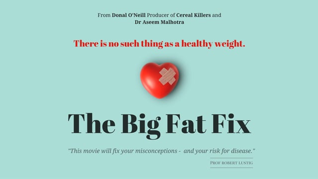 THE BIG FAT FIX - Official Trailer (subtitles)