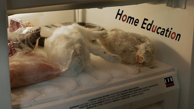 Home Education - Teaser
