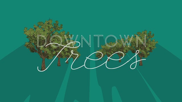 Downtown Trees title sequence