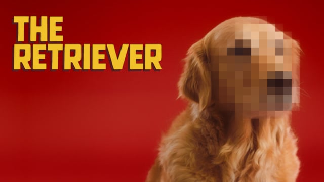 ⁣The Golden Retriever