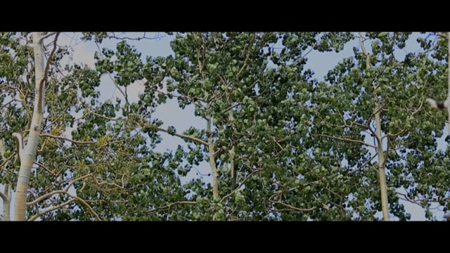 Wind River Ranch video 1
