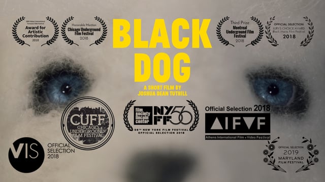 Black Dog Teaser