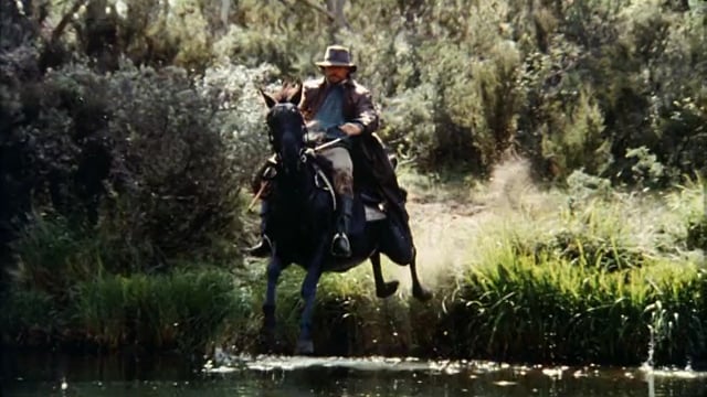 The Silver Brumby - Official Film Trailer
