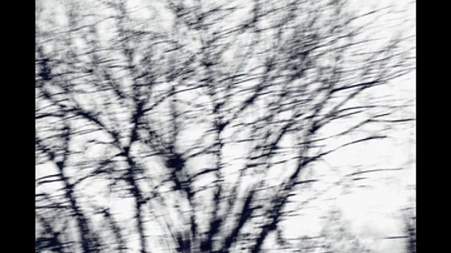 Exposition Collective "Animismes Anonymes" (2015) | Cinéma Galeries, Bruxelles