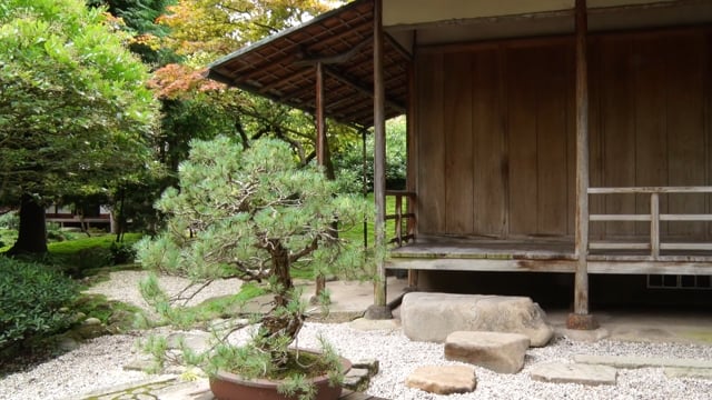 Retour sur le chantier de restauration des pavillons japonais du musée départemental Albert-Kahn