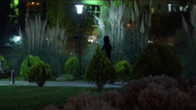 The Widow in Black
