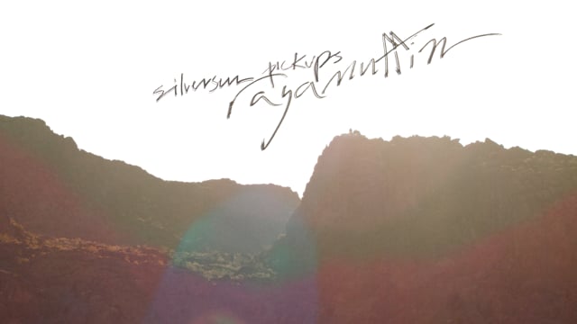 Fractal animation still from “Ragamuffin” — a deep-zoom reel by Fractal Visuals.