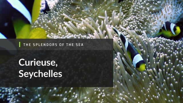Island Conservation Seychelles