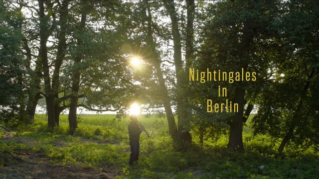 Nightingales in Berlin  t e a s e r