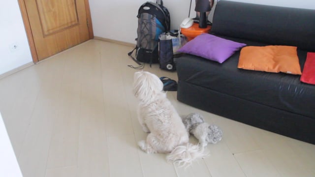 Alfredo Doesn't Like Goodbyes