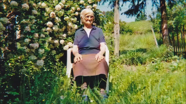 Video-Vorschau