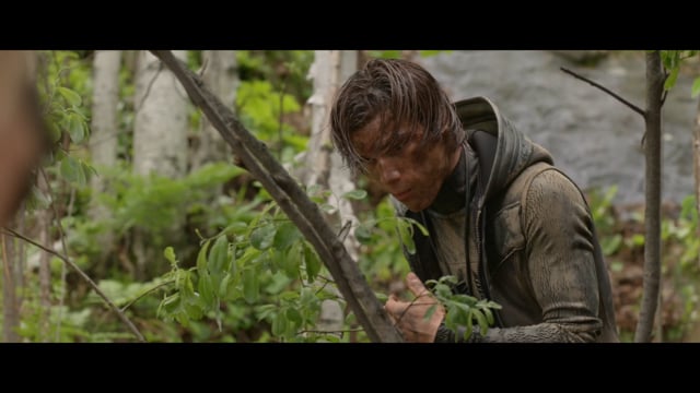 Darwin Trailer