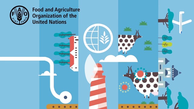 FAO - United Nations (vimeo)