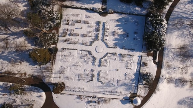 Vimeo video thumbnail