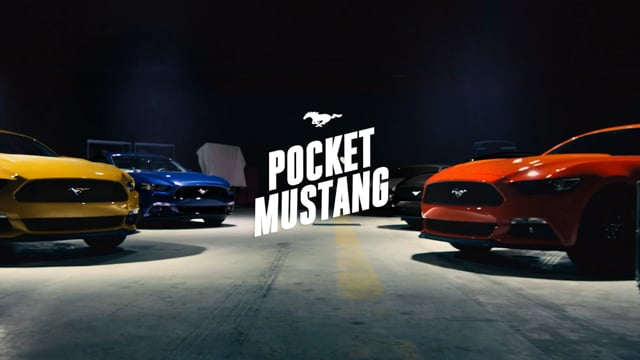 ⁣Pocket Mustang