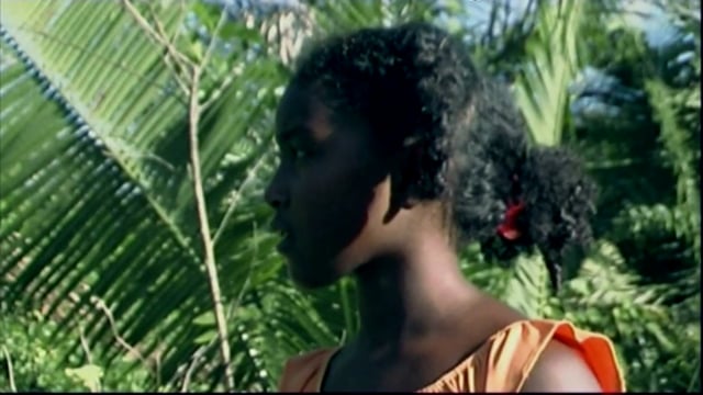 PEDRA, PEIXE, RIO Itamatatiua TRAILER