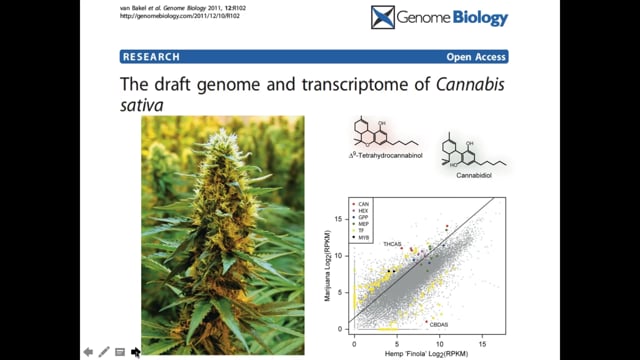 Cannabinoid use in ALS: Only symptom management or more? Screen Grab