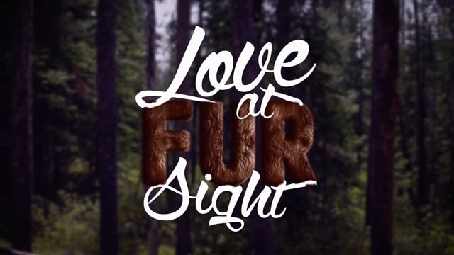 Love At Fur Sight