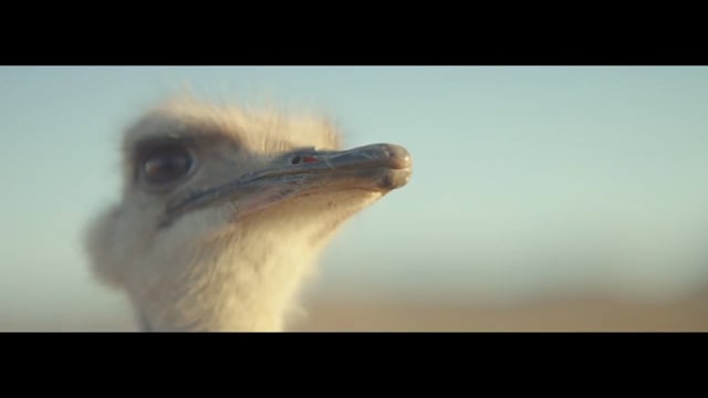 Life Is a Story β And So Is Great Advertising