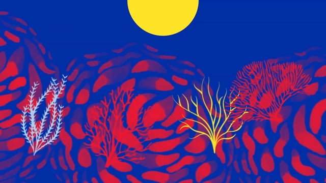Climate Protection title sequence