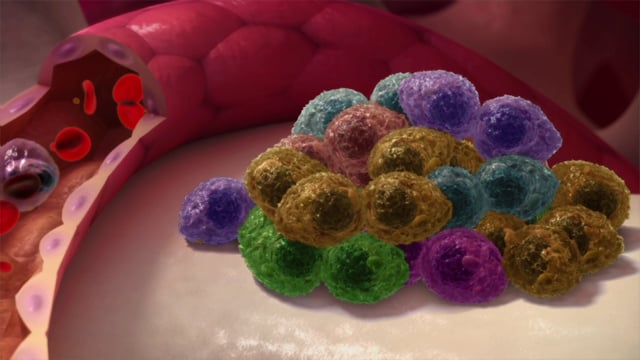 Vimeo video thumbnail