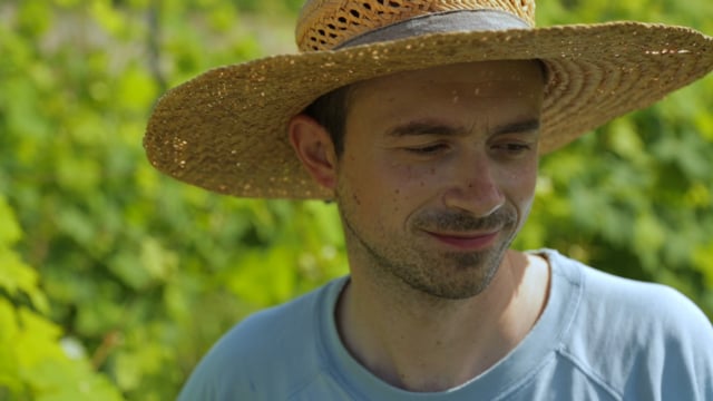 'ciao Araca' Trailer 2