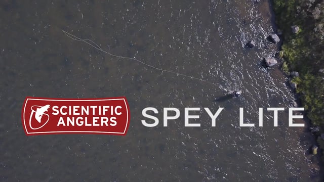 Packaging for the Scientific Anglers Spey Lite Scandi Head