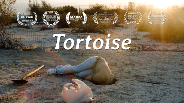 TORTOISE - Trailer