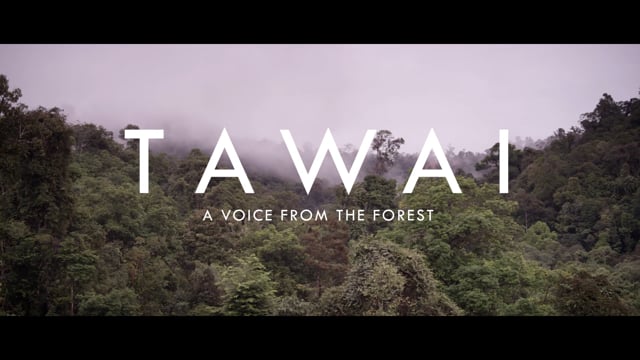 TRAILER (THEY CALL IT TAWAI)