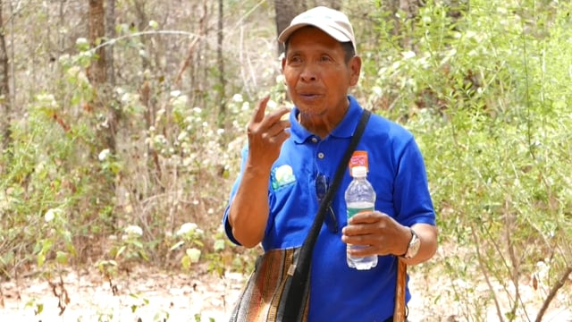 NuMundo Regenerative Travel