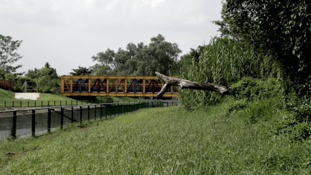 Between Pudukkottai & Singapore