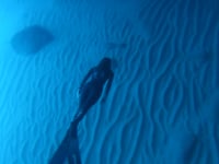 Demo Underwater freedive