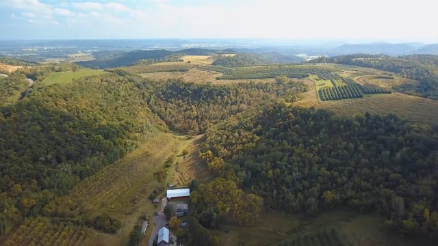 Honeybear Brands — Watch on Vimeo