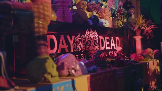 Day of The Dead