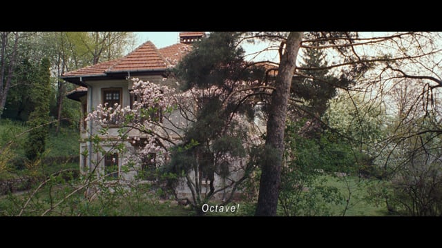 Octav_global trailer_engl_final