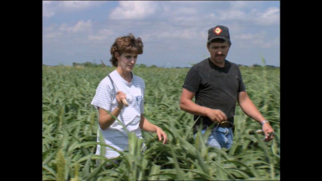 The Farmer's Wife