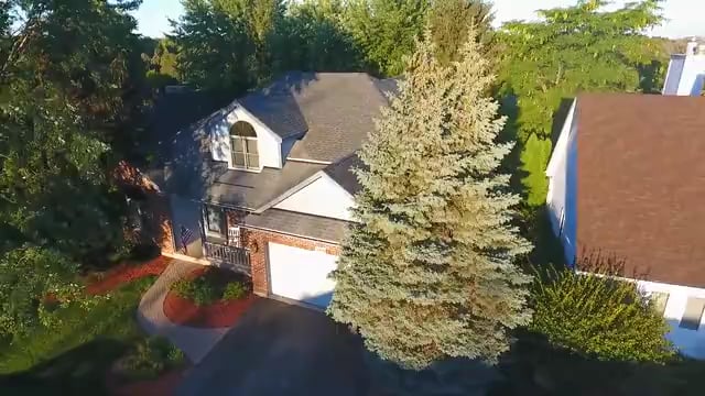 Cinematic Home Video