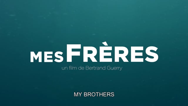 MY BROTHERS - TRAILER