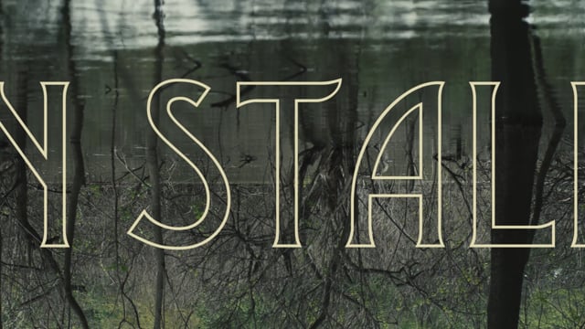 IN STALK